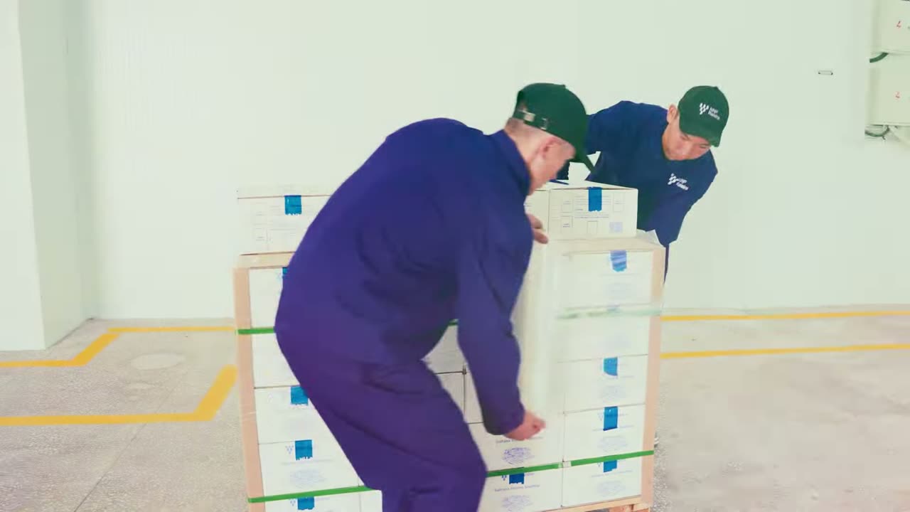 Two workers wrapping a pallet of cartons; the container behind.